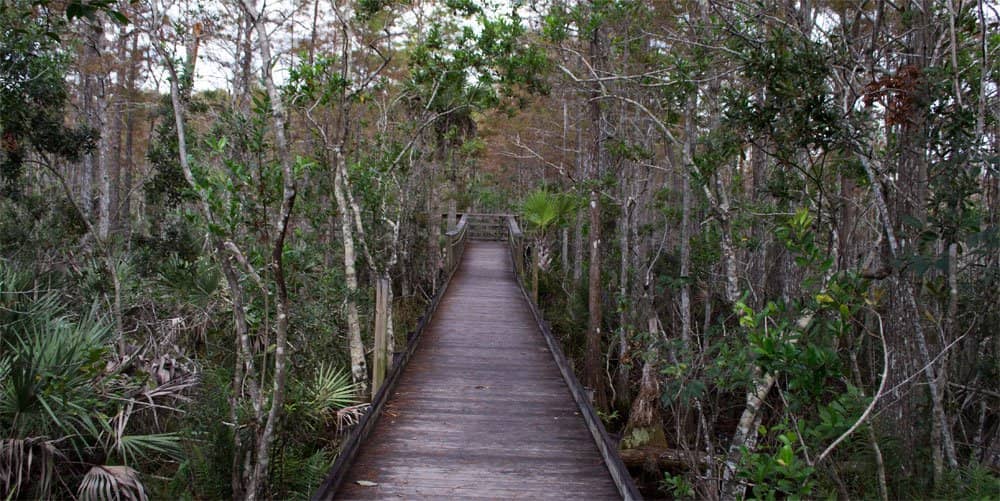 Nature Center & Eco-Museum