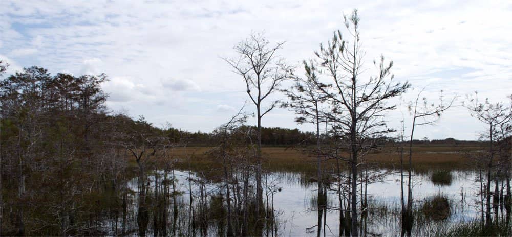 Nature Center & Eco-Museum