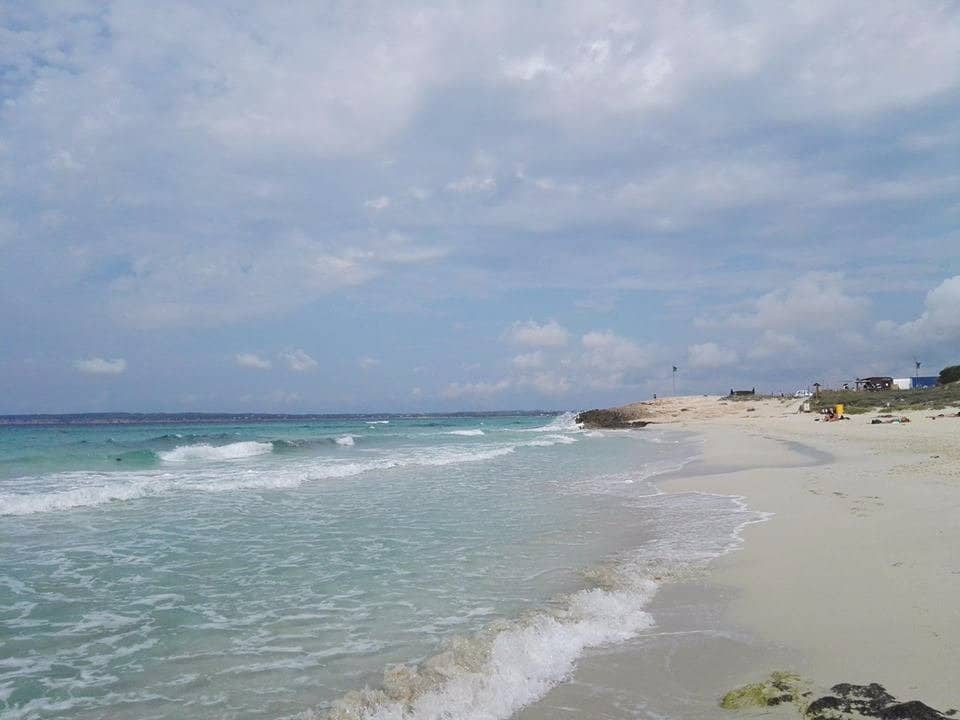The Golden Sands of Arenal Beach