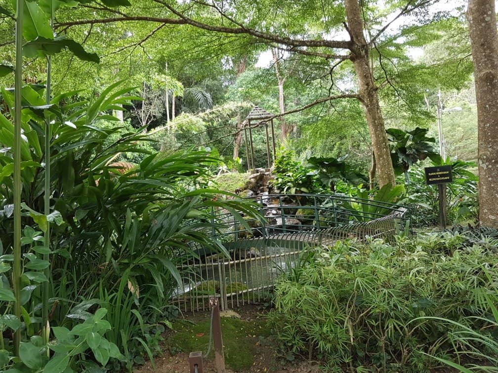 Adventure Playgrounds