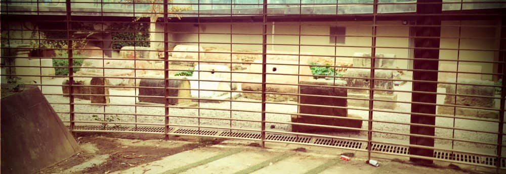 Roman Burial Sites