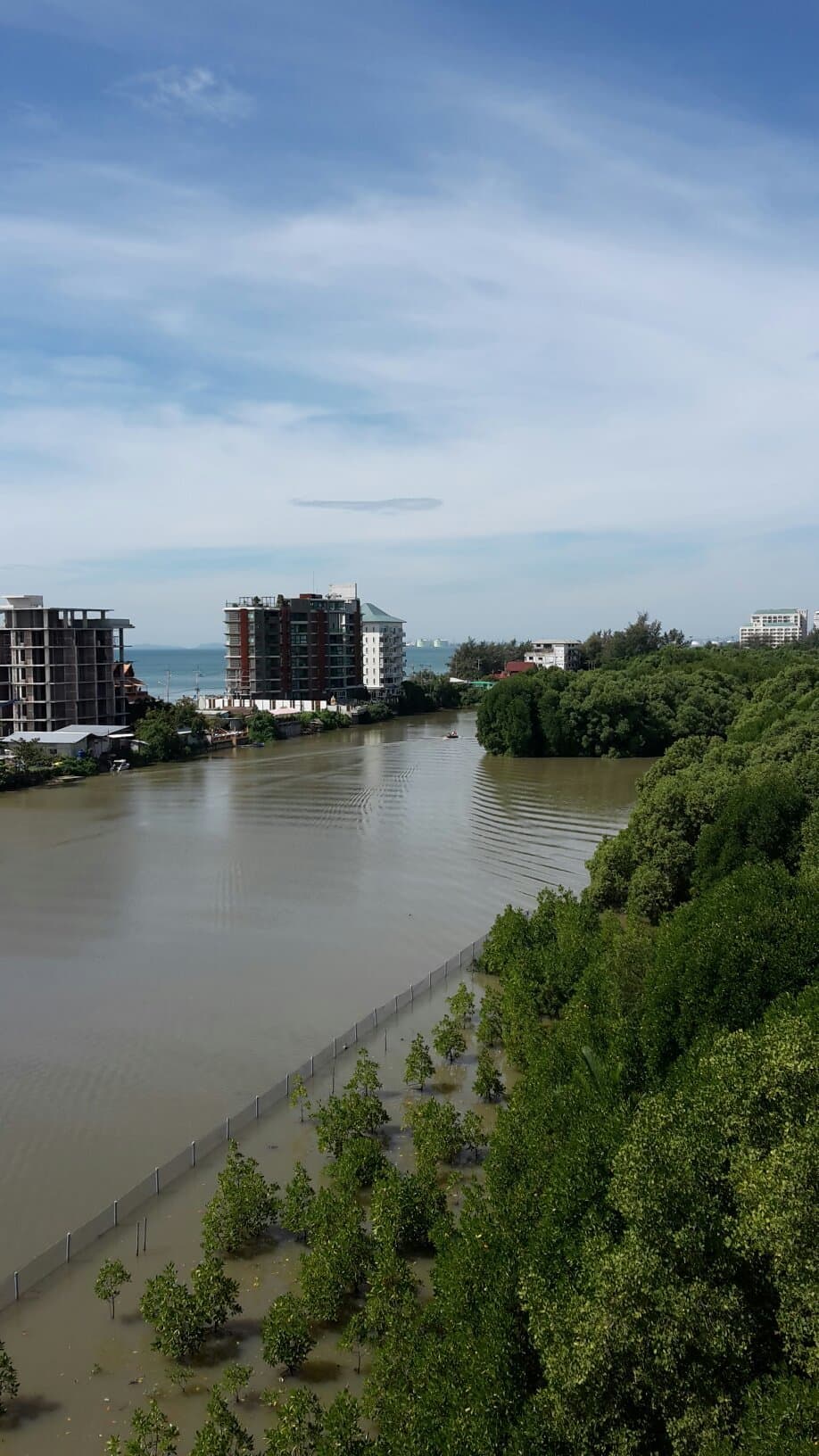 Sky View Tower and Mangrove Research Center