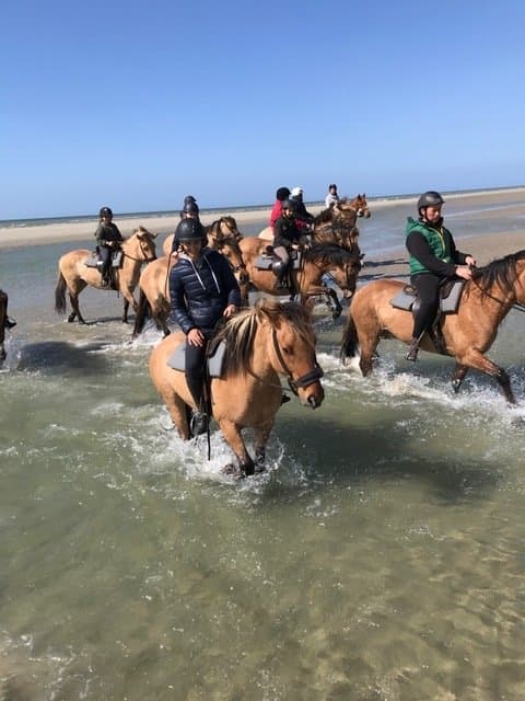 Appréciez la plage telle que vous ne l'avez jamais connue !