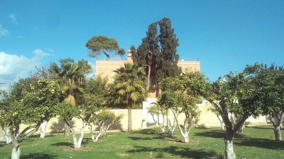 Holy Trinity Cathedral