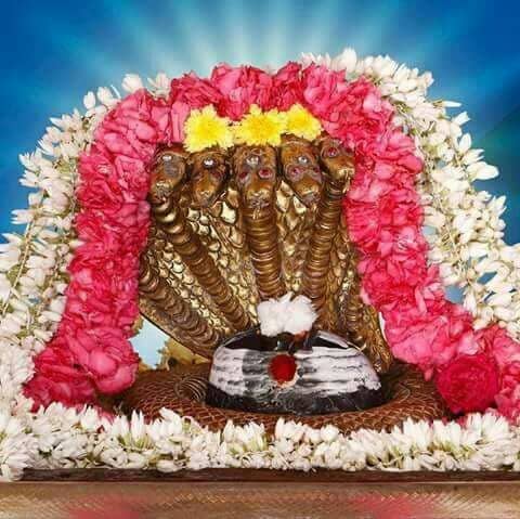 Nallamala Hills & Srisailam Dam