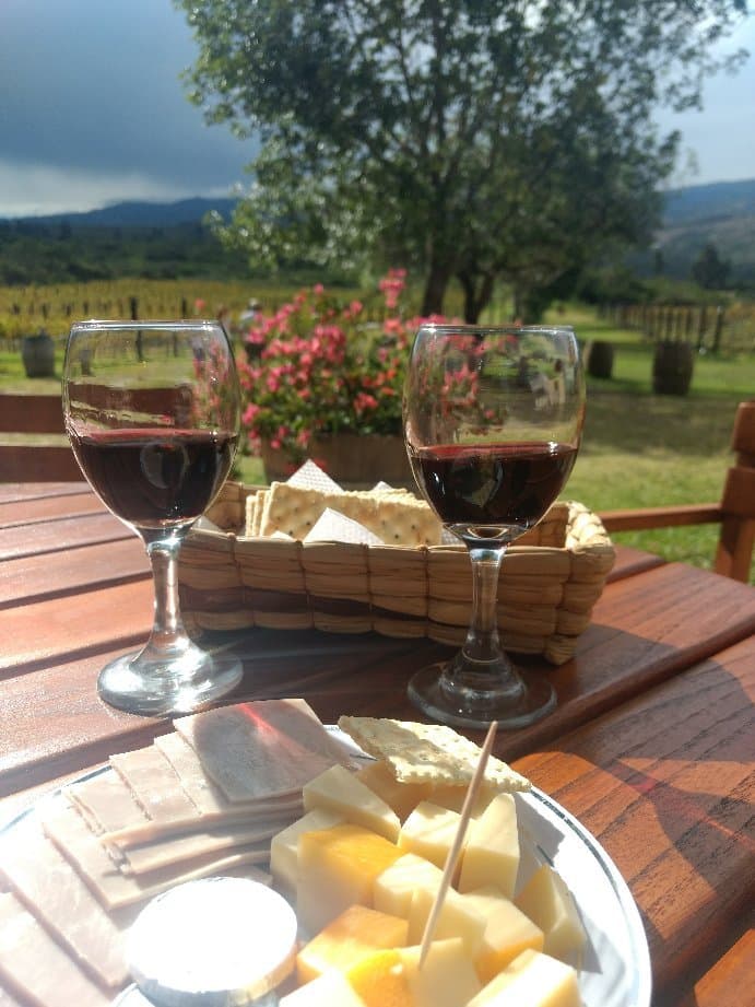 Viñedo Aim Karim Villa de Leyva