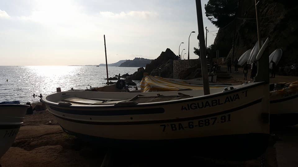 Turquoise Waters & Snorkeling