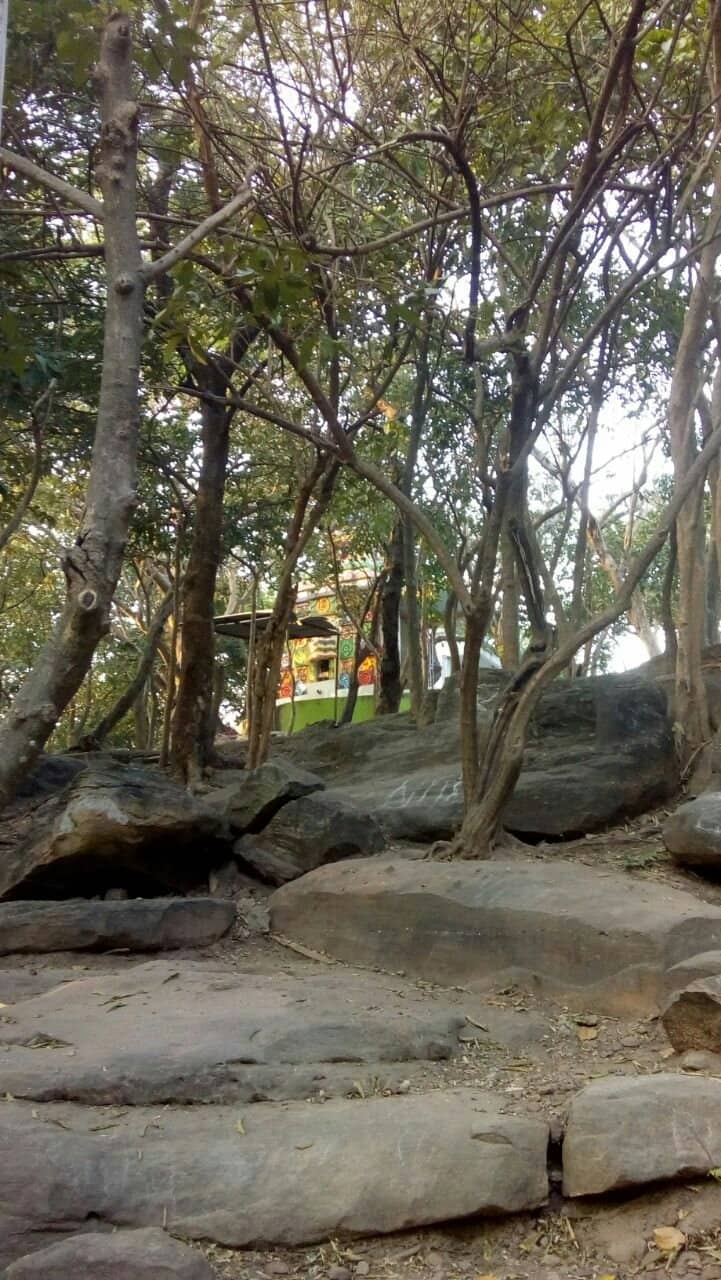 Panoramic Hilltop Views