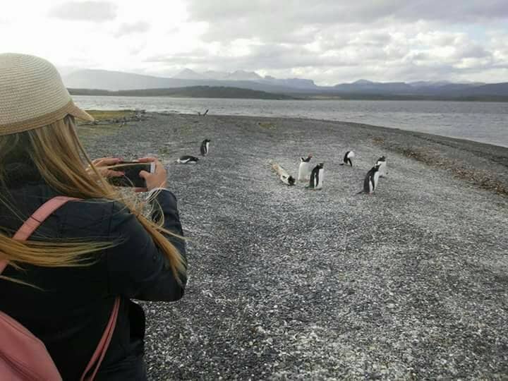 Beagle Channel Cruise