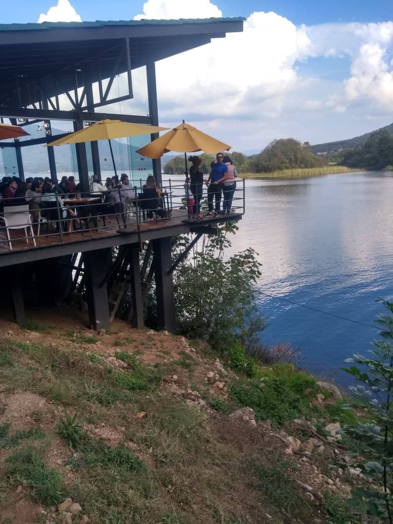 Forest & Lakeside Cabins