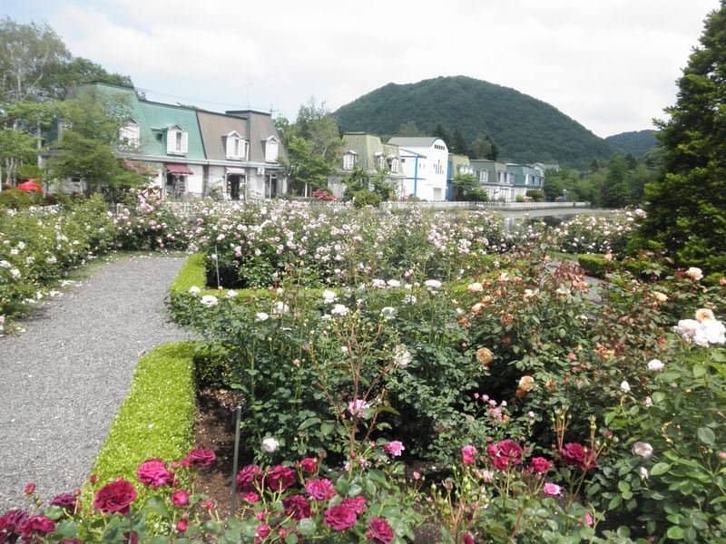 English-Style Manor House