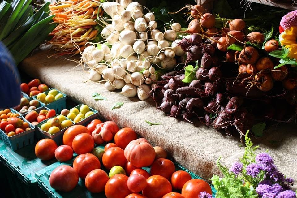 Specialty Vendors