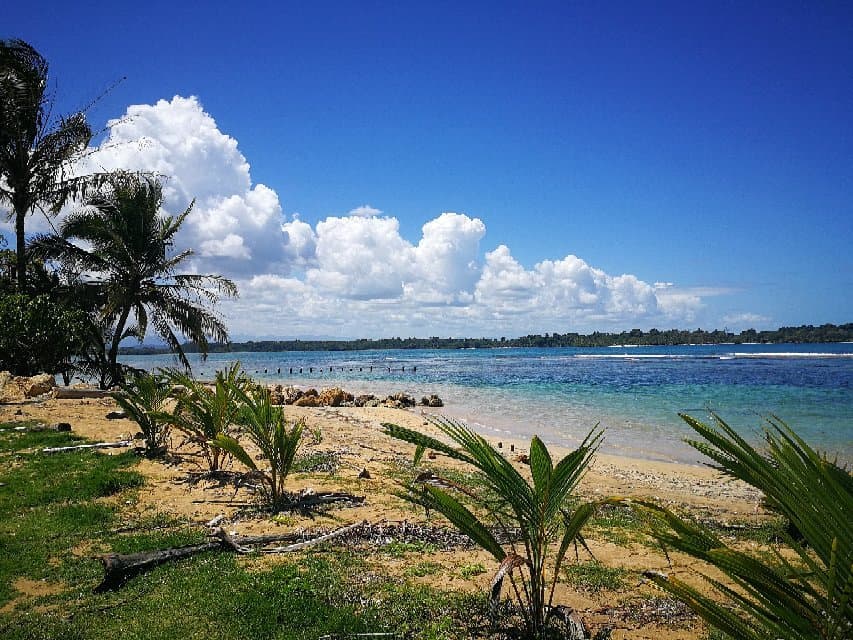 Starfish Beach Playa Estrella