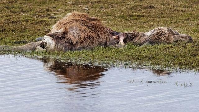 Birdwatching Paradise