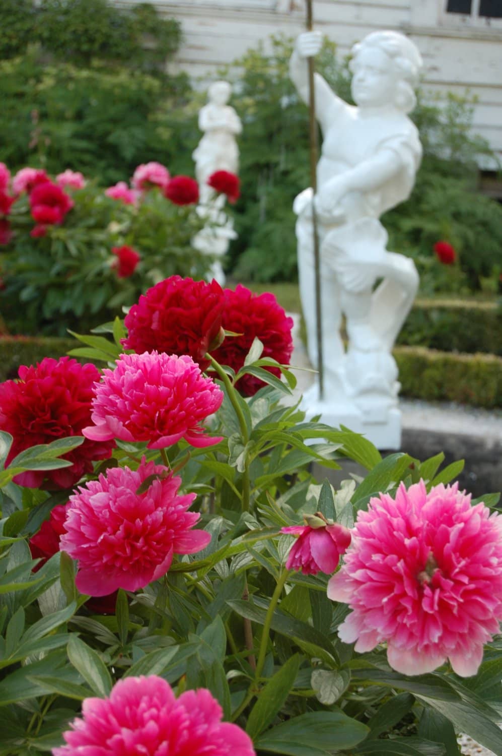 Scenic Greenery Park
