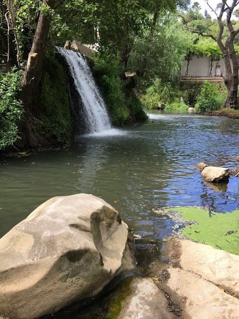 Queda natural no centro de Leiria