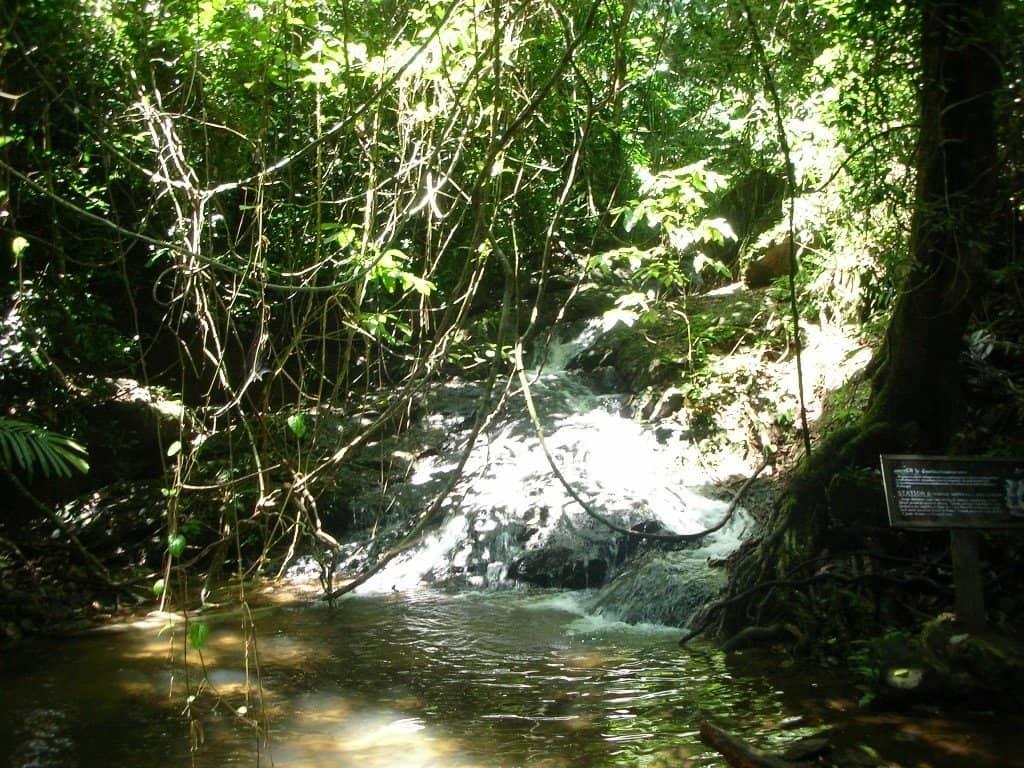 Bang Pae Waterfall