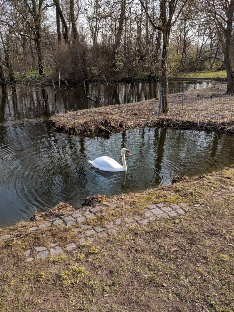 Natural History Museum