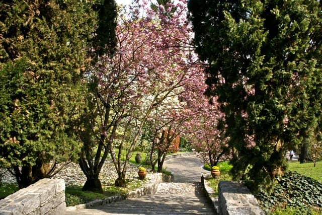 Lake Maggiore Views