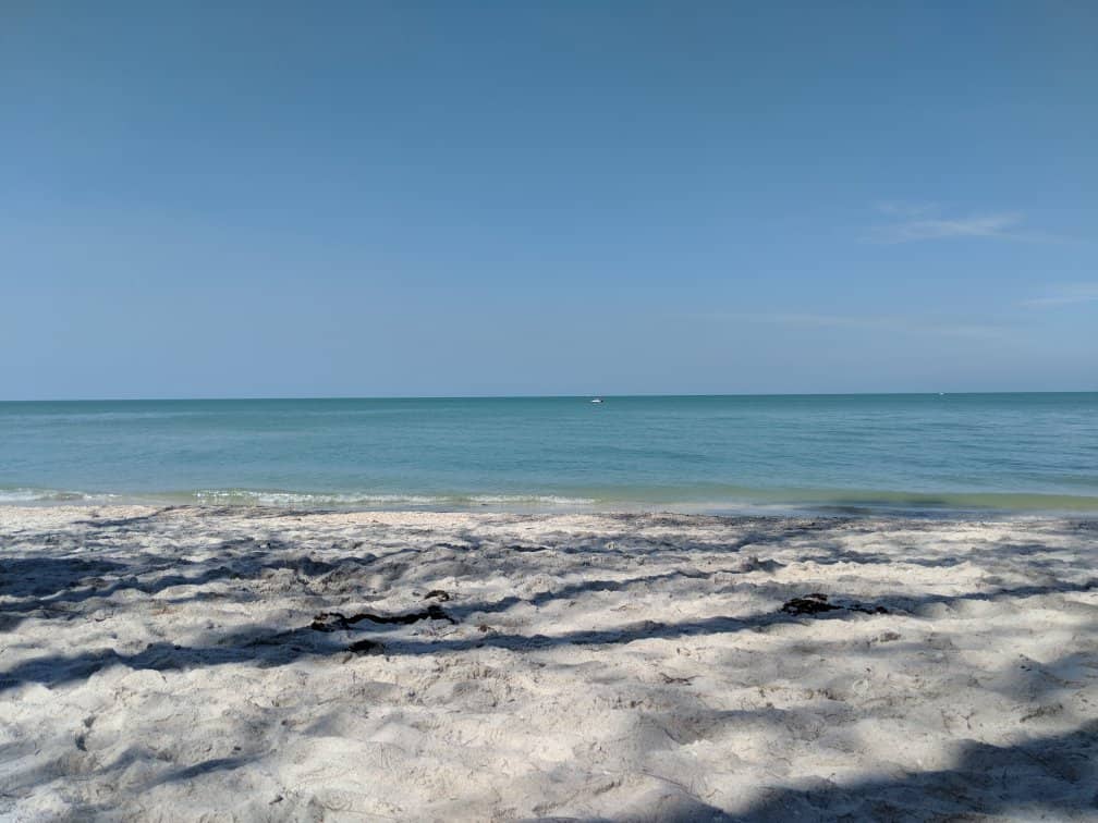 Abundant Wildlife Sightings