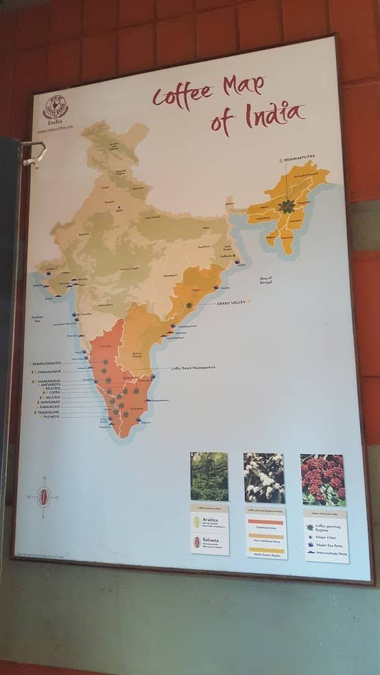 Coffee Estate Exploration