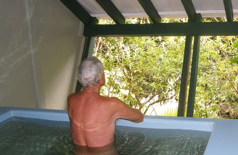 Nikau Palm Forest Walk