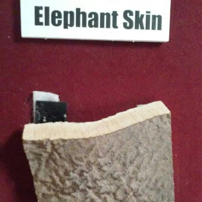 Interactive Kids' Corner