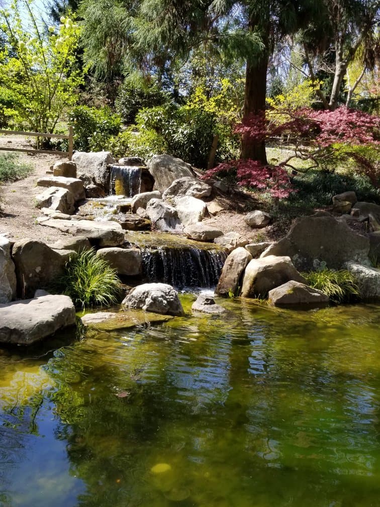 UNC Charlotte Botanical Gardens