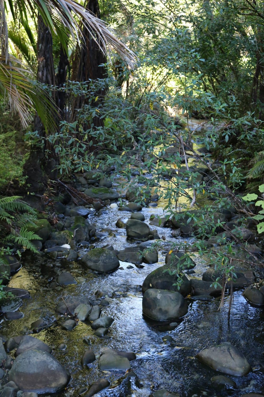 One of the streams