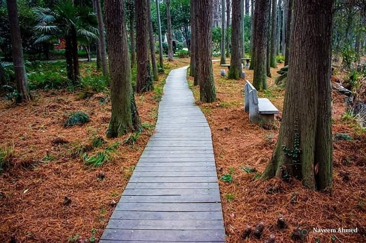 Seasonal Flower Shows