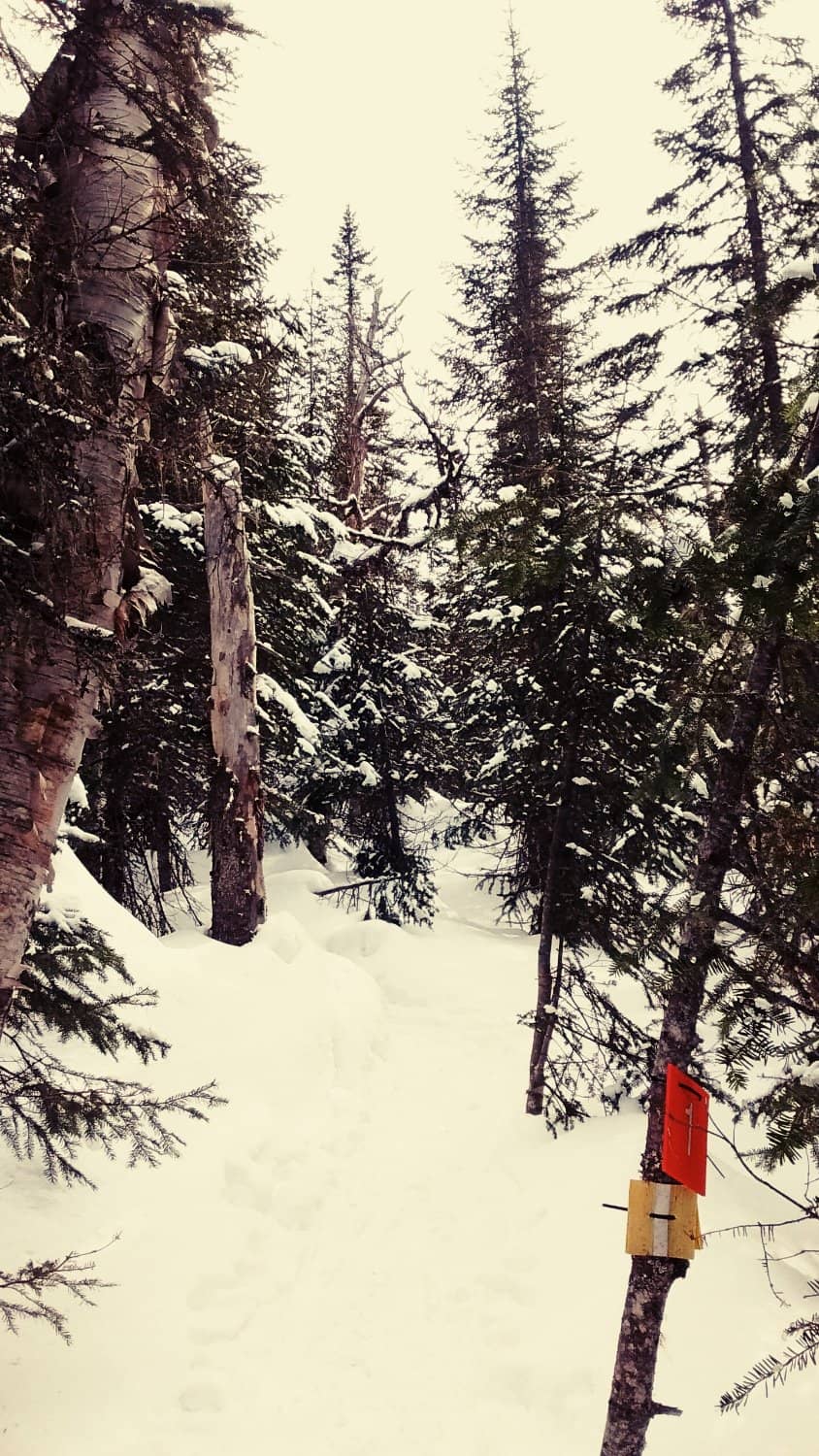 Panoramic Mountain Views