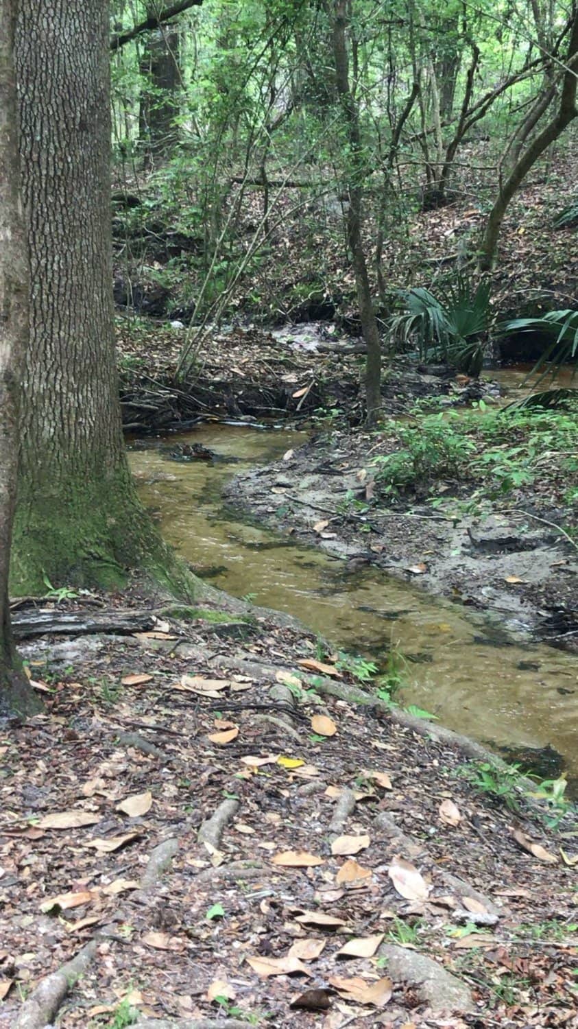 Moonshine Creek Trail
