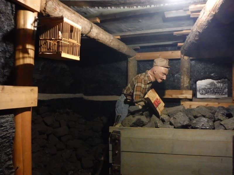 Dunsmuir Avenue Charm