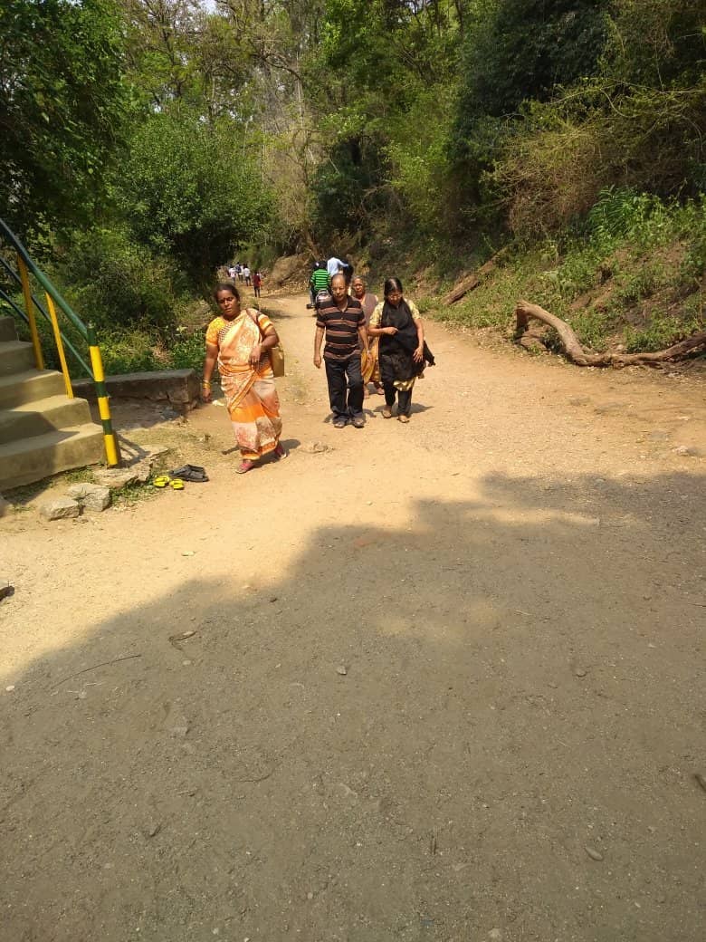 Nature's Healing Power