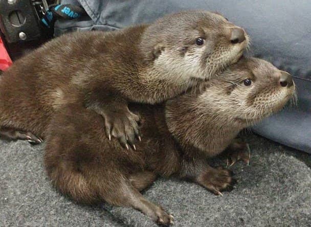 Interactive Water Displays