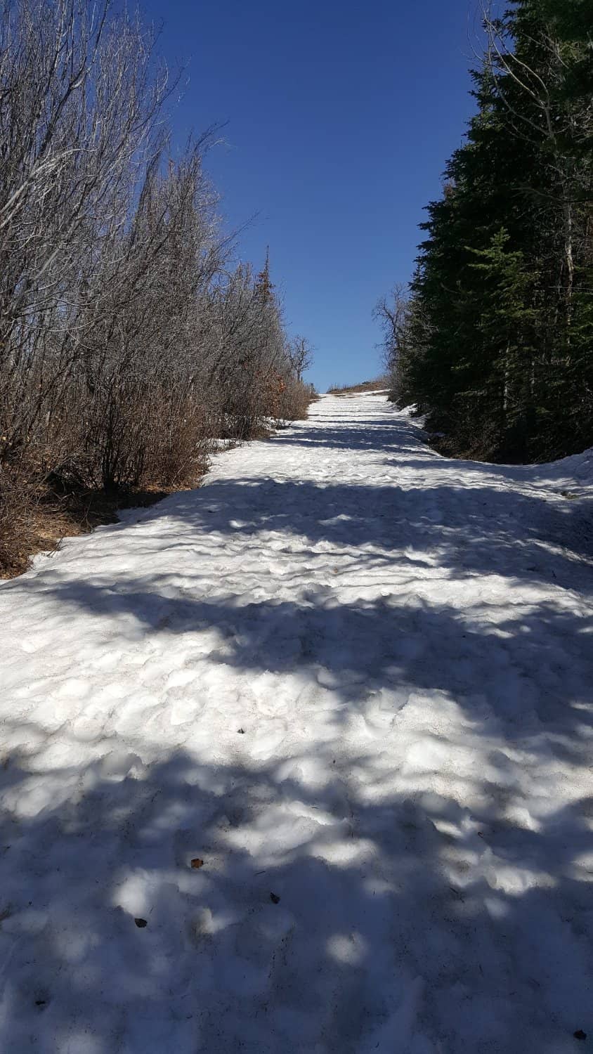 Emerald Mountain Trails