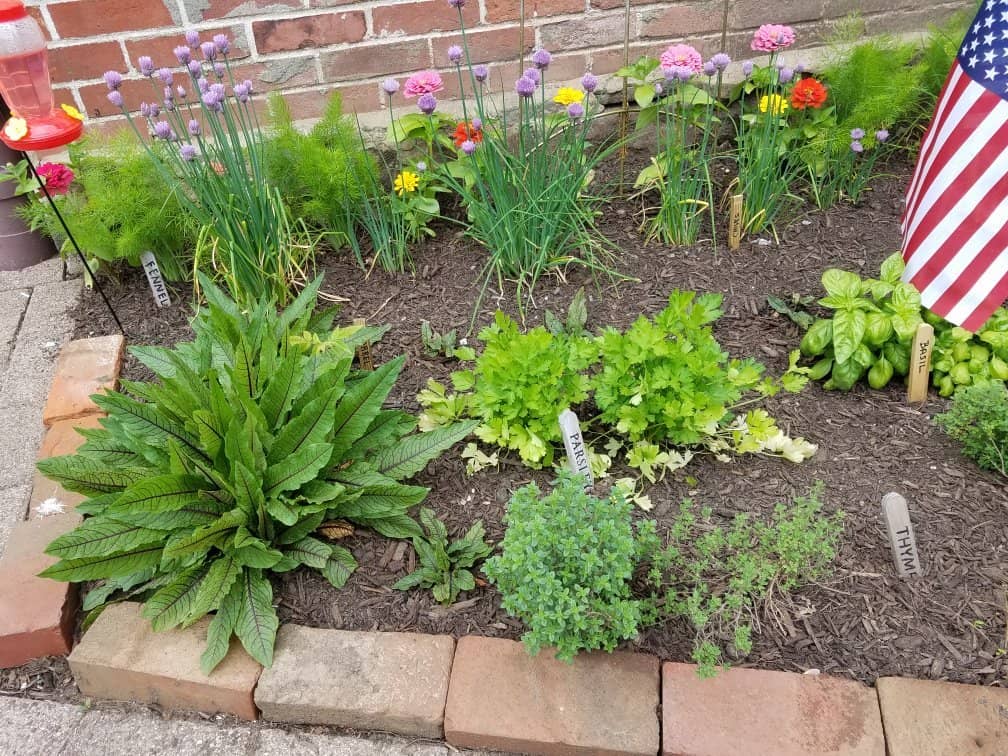 Scenic Foliage Views