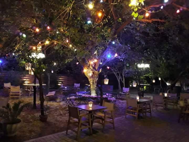 getlstd_property_photo