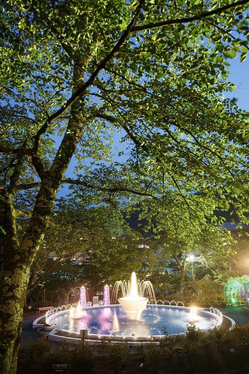 Rose-Infused Delights