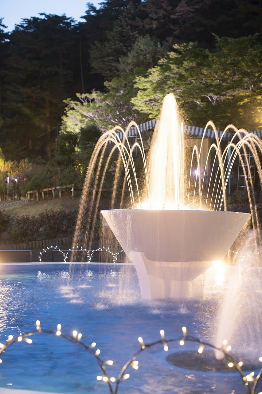 Night Rose Garden 2018