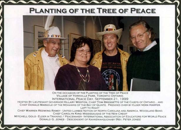 Yorkville Village Park