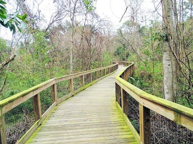 boardwalk trail through wetlands
