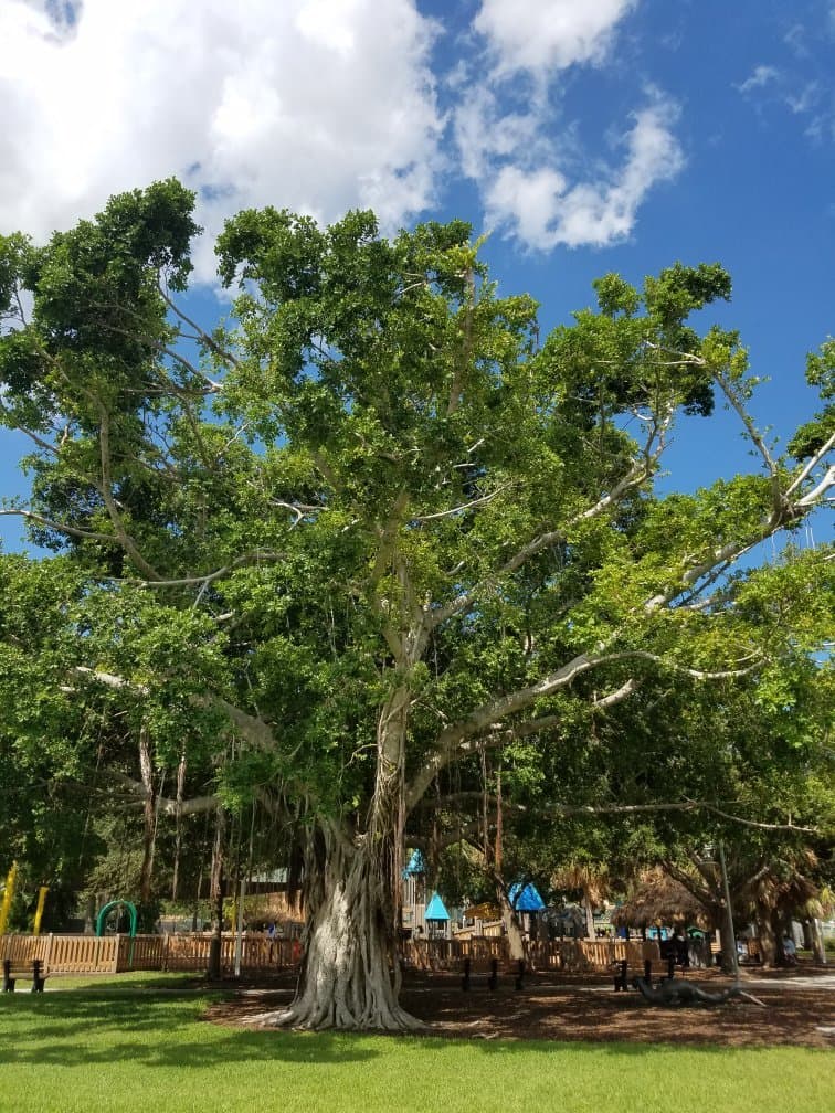 Explore Cambier Park