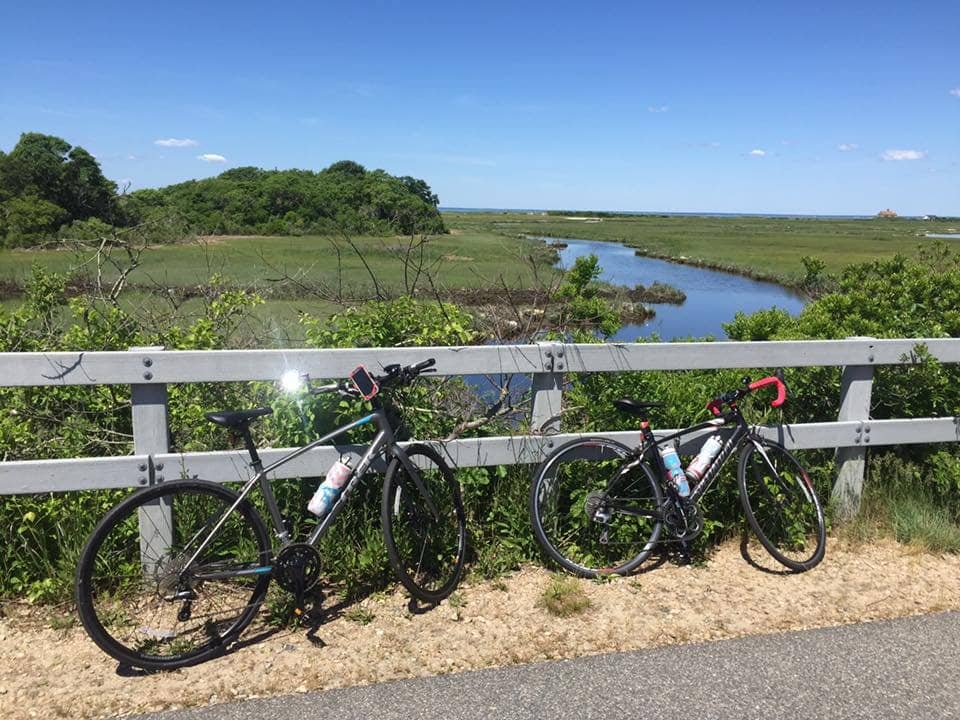 Cranberry Bog Wonders