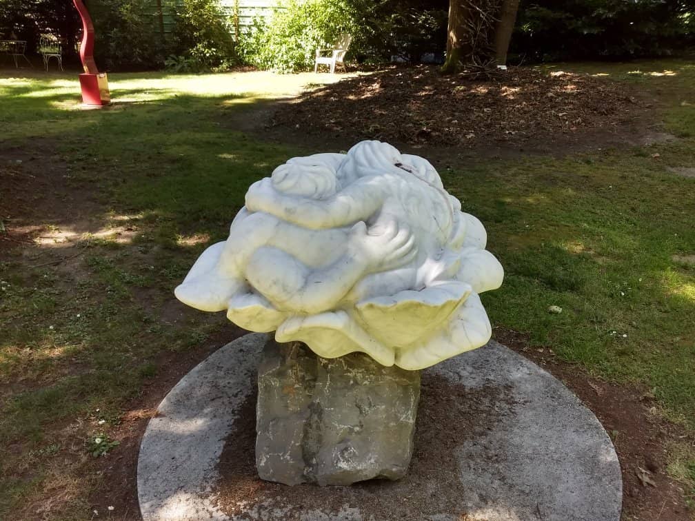 Manicured Lawn Areas