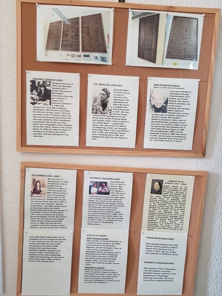 World Record Ear Horn Collection