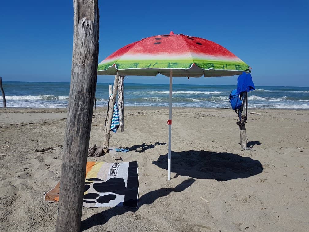 Expansive Sandy Shores