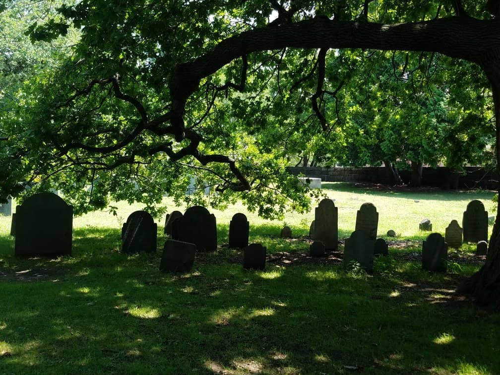 Informative Tour Guide