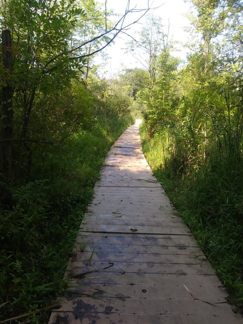 Lillian Anderson Arboretum