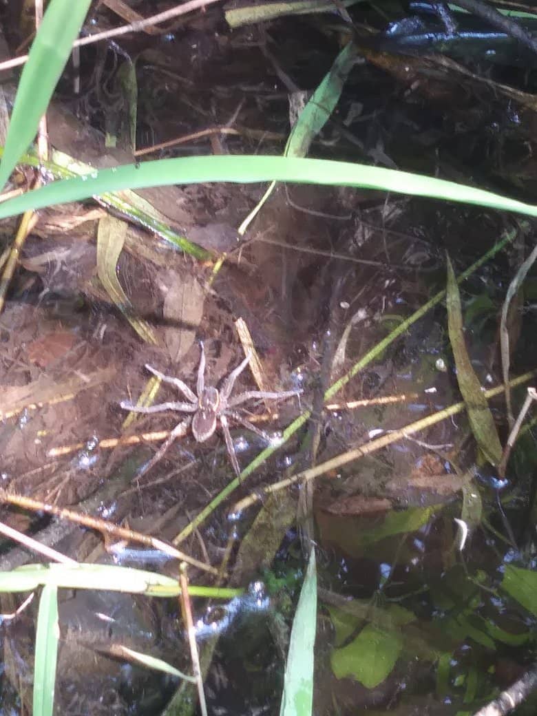 Abundant Wildlife Sightings